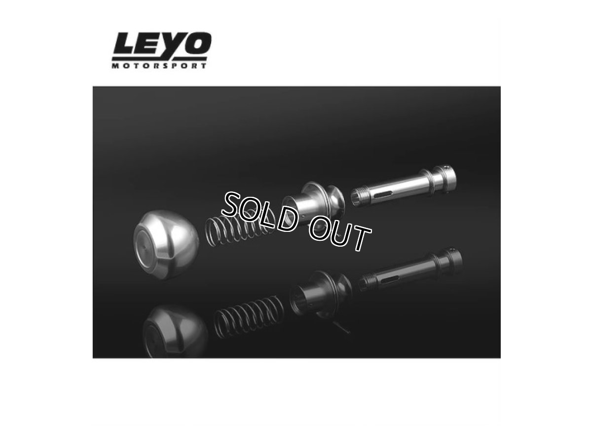 画像6: LEYO Motorsport BILLET DSG シフトノブ SILVER (6)