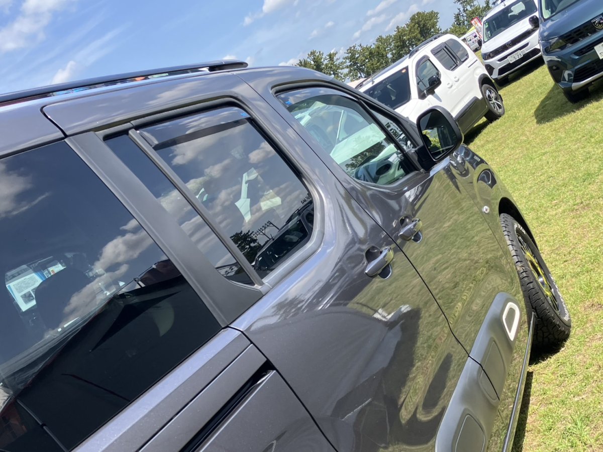画像3: ClimAir ドアバイザー CITROEN Berlingo (3)