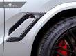 画像3: AUTOTECKNIC ドライカーボンファイバーサイドベントセット for BMW X6M(F96)